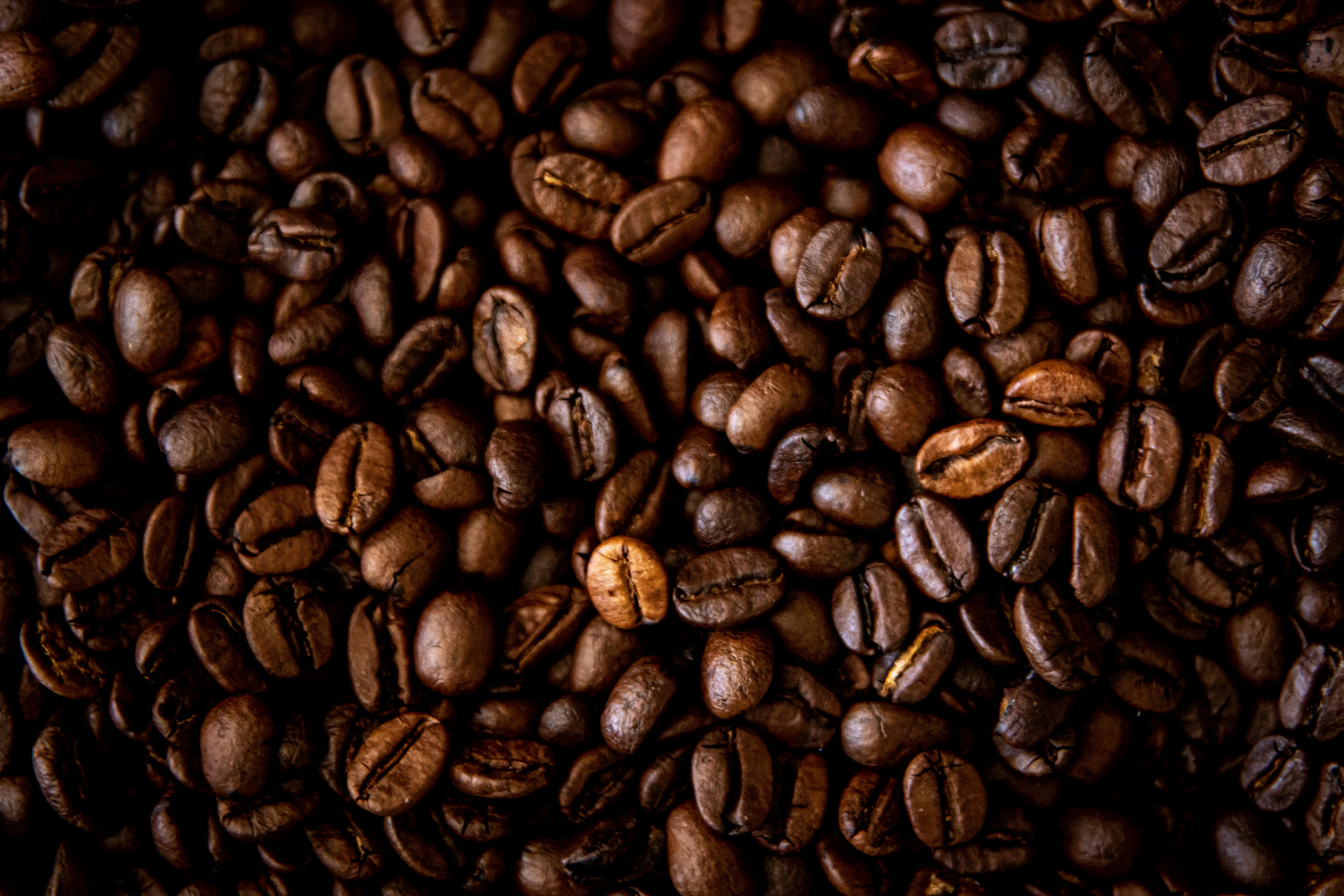 Café en grano