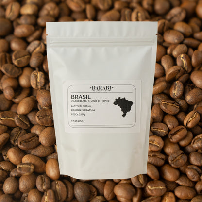 Café Brasil | Notas de Miel, Nuez y Coco