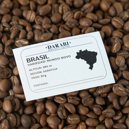 Café Brasil | Notas de Miel, Nuez y Coco